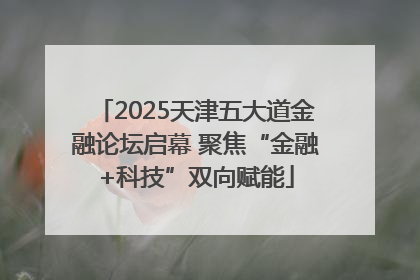 2025天津五大道金融论坛启幕 聚焦“金融+科技”双向赋能
